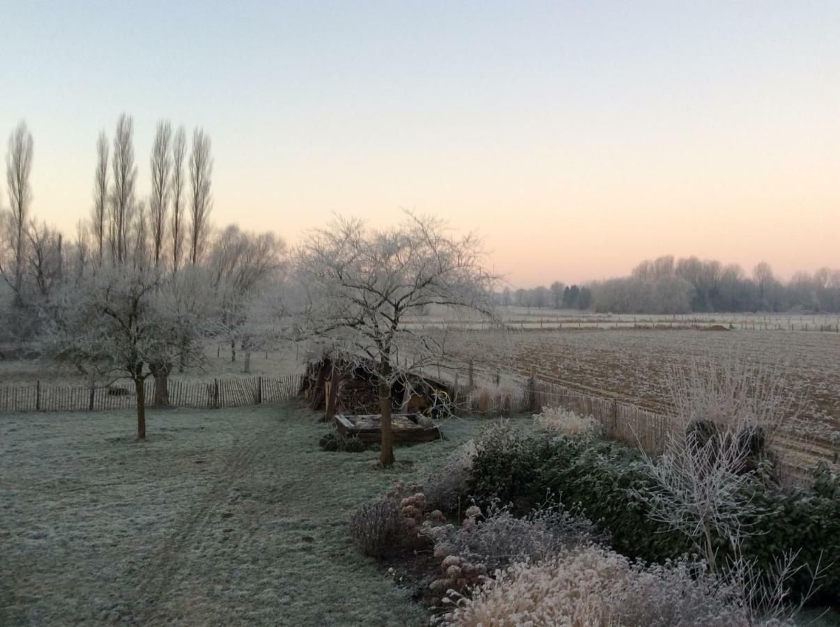 Vakantiewoning Salix Herne Exterior foto